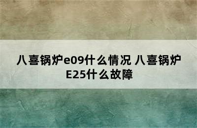 八喜锅炉e09什么情况 八喜锅炉E25什么故障